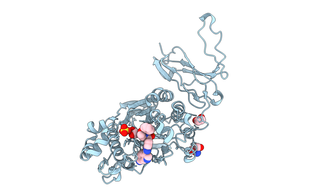 4Z2B image