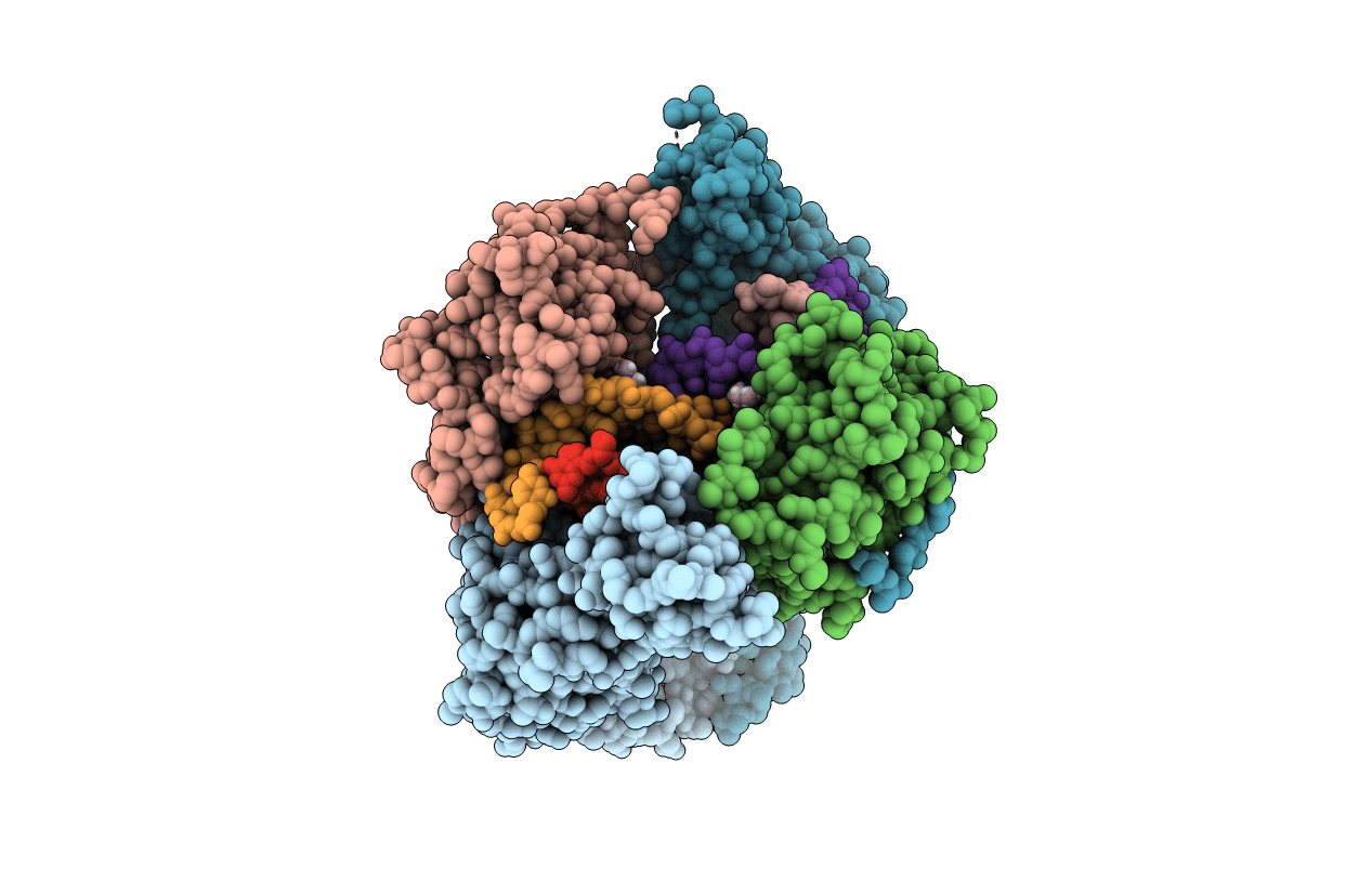 4Z2D image
