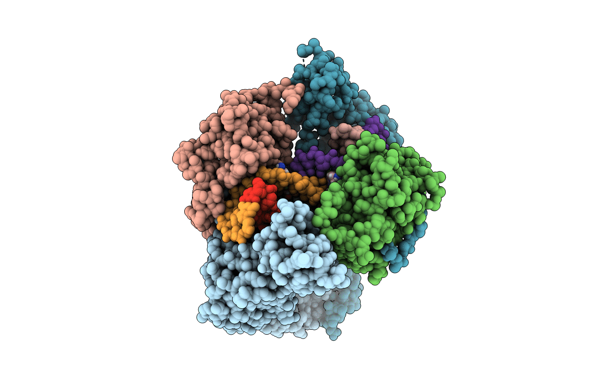 4Z2E image
