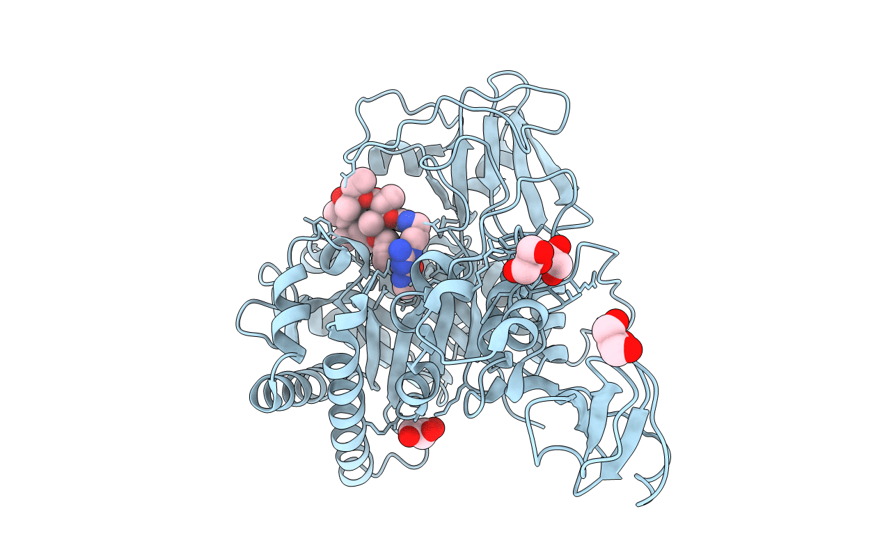 4Z2L image