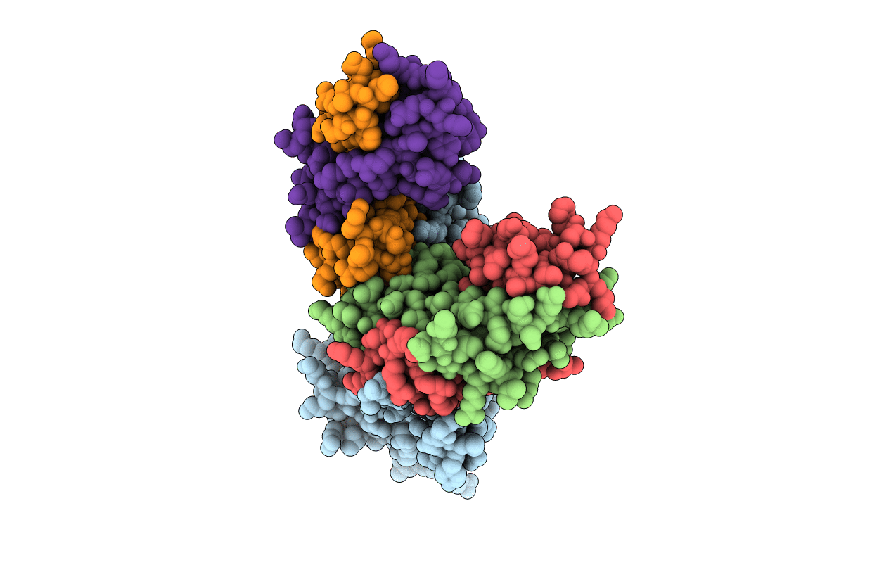 4z2m image
