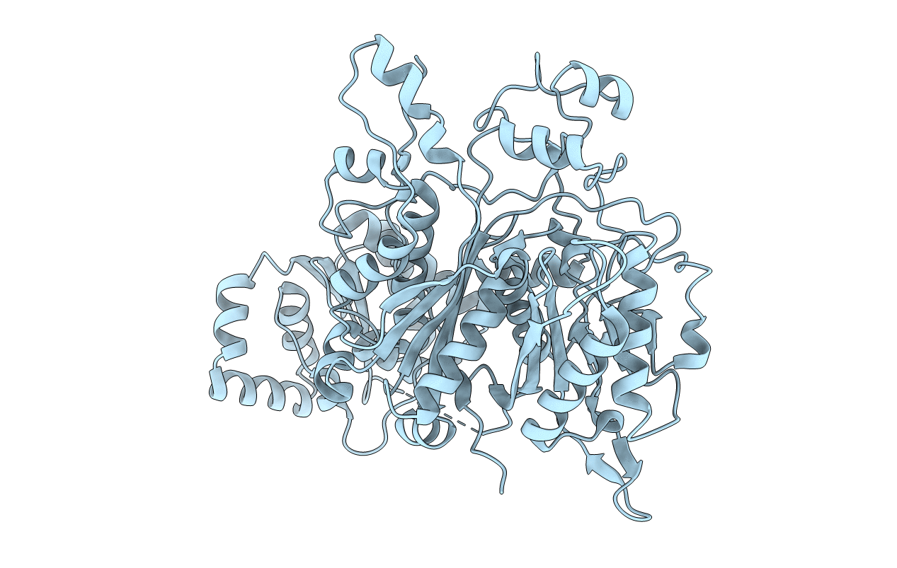 4Z37 image
