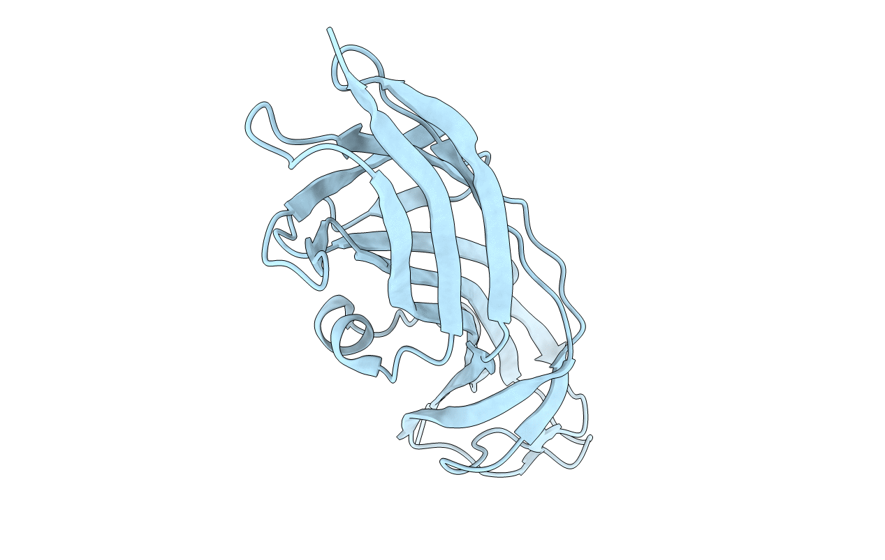 4Z3I image