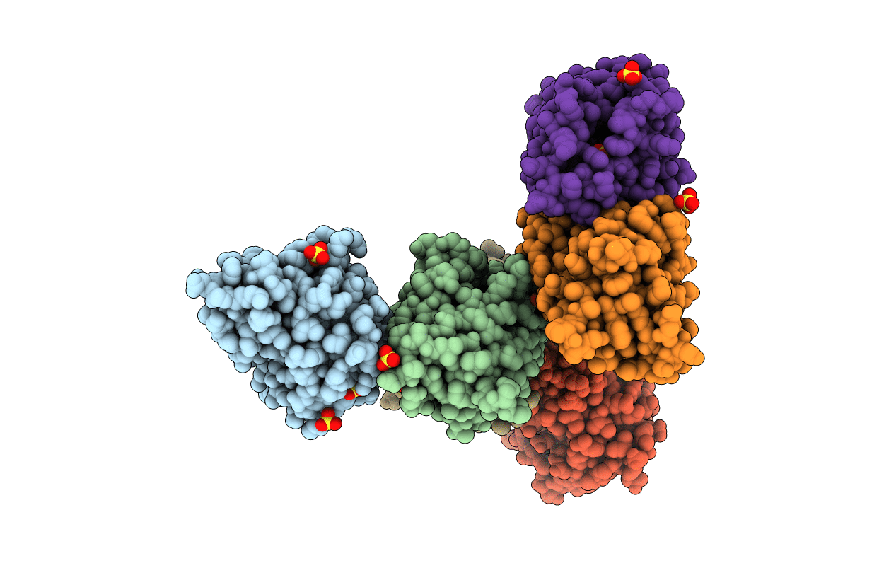 4Z3L image