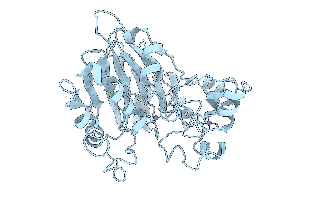 4Z60 image