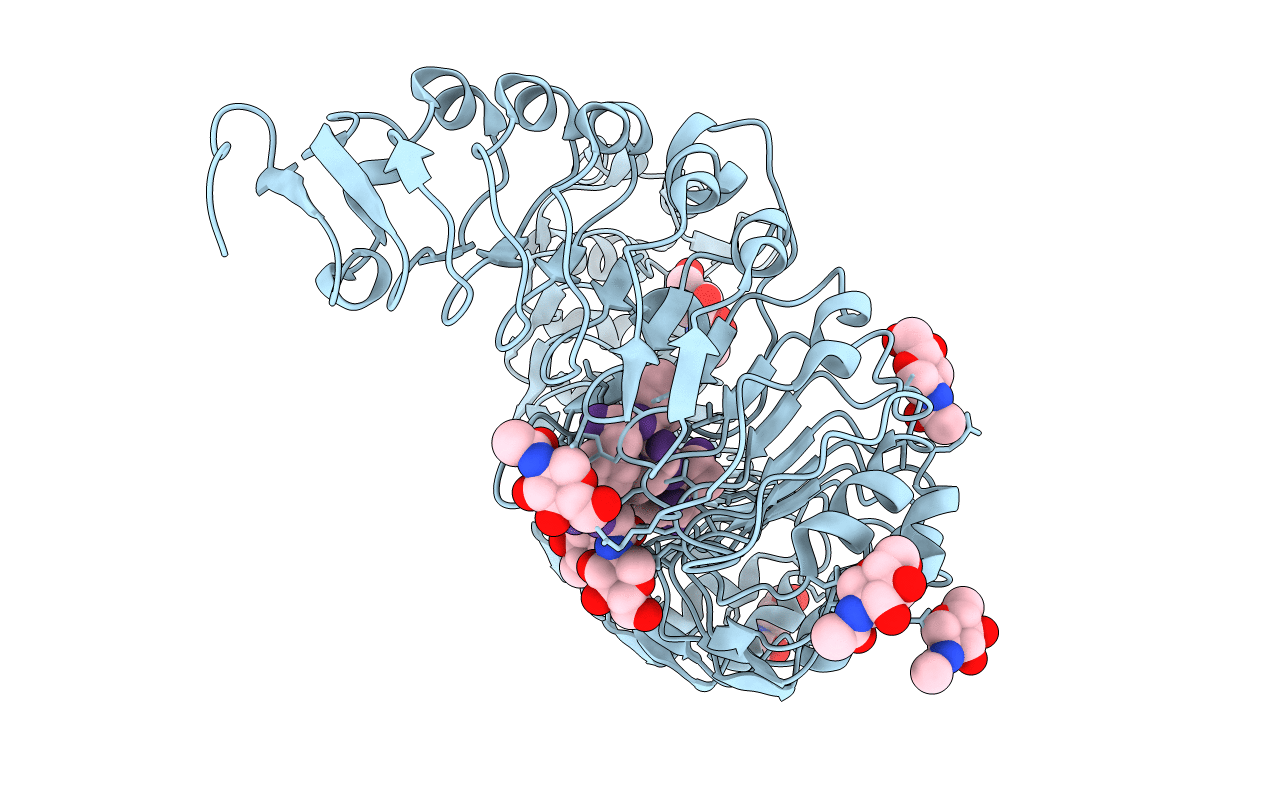 4z63 image