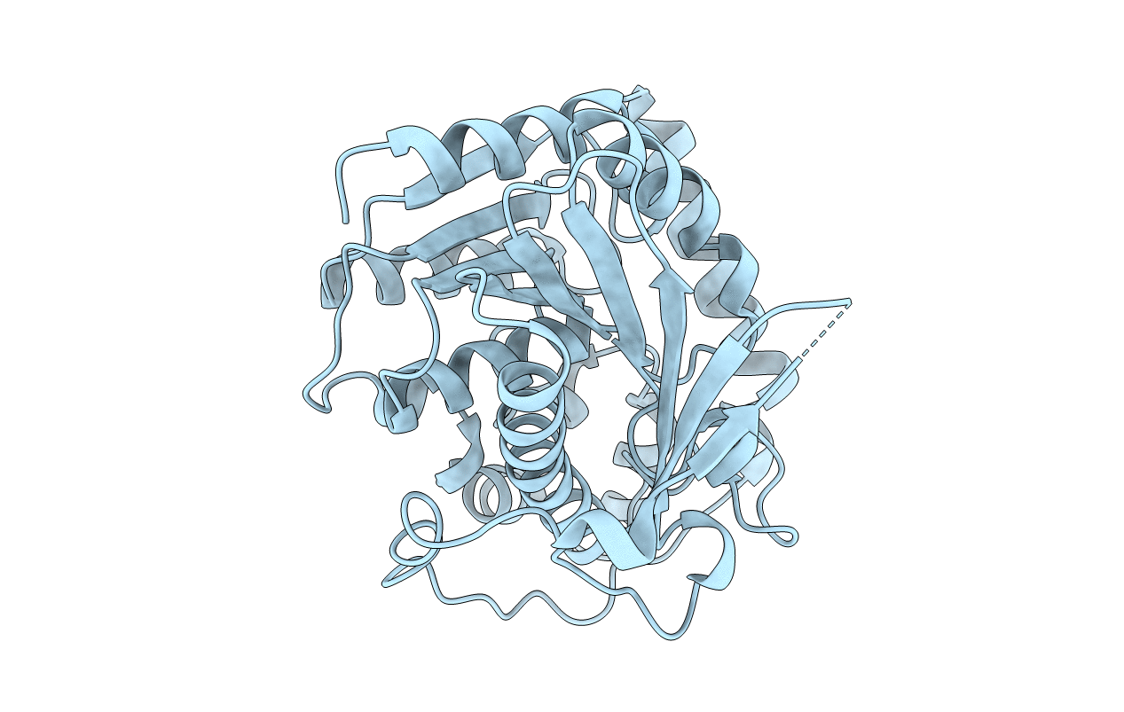 4Z8Z image
