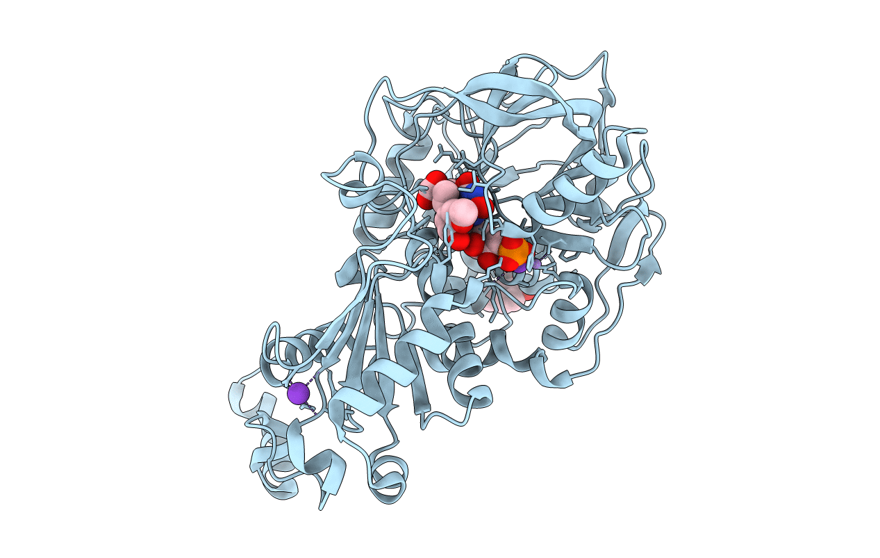 4ZAA image