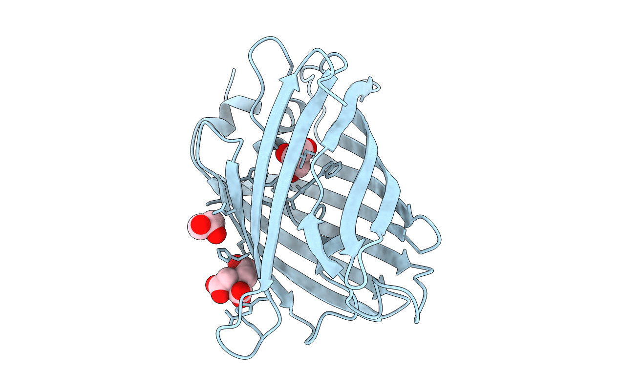 4ZBL image