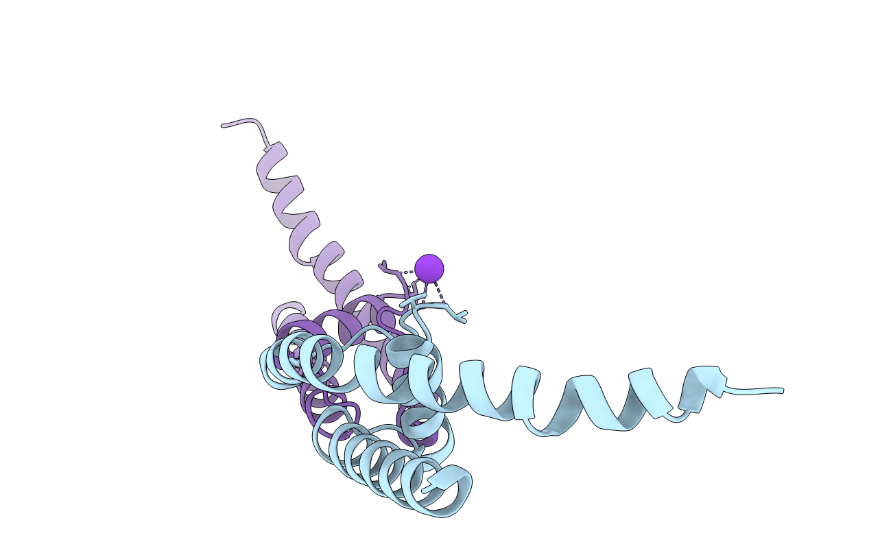 4ZBM image