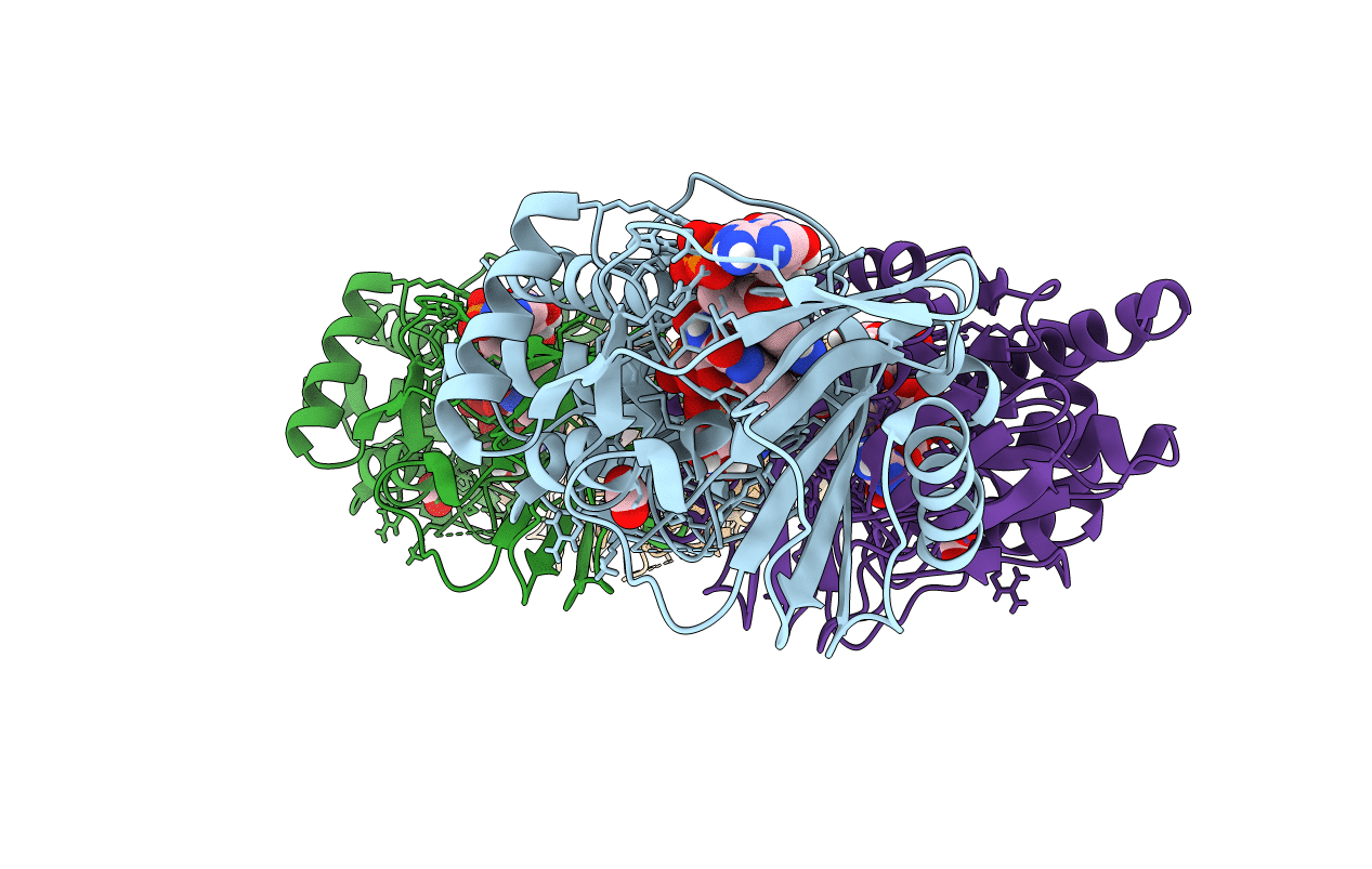 4ZCC image