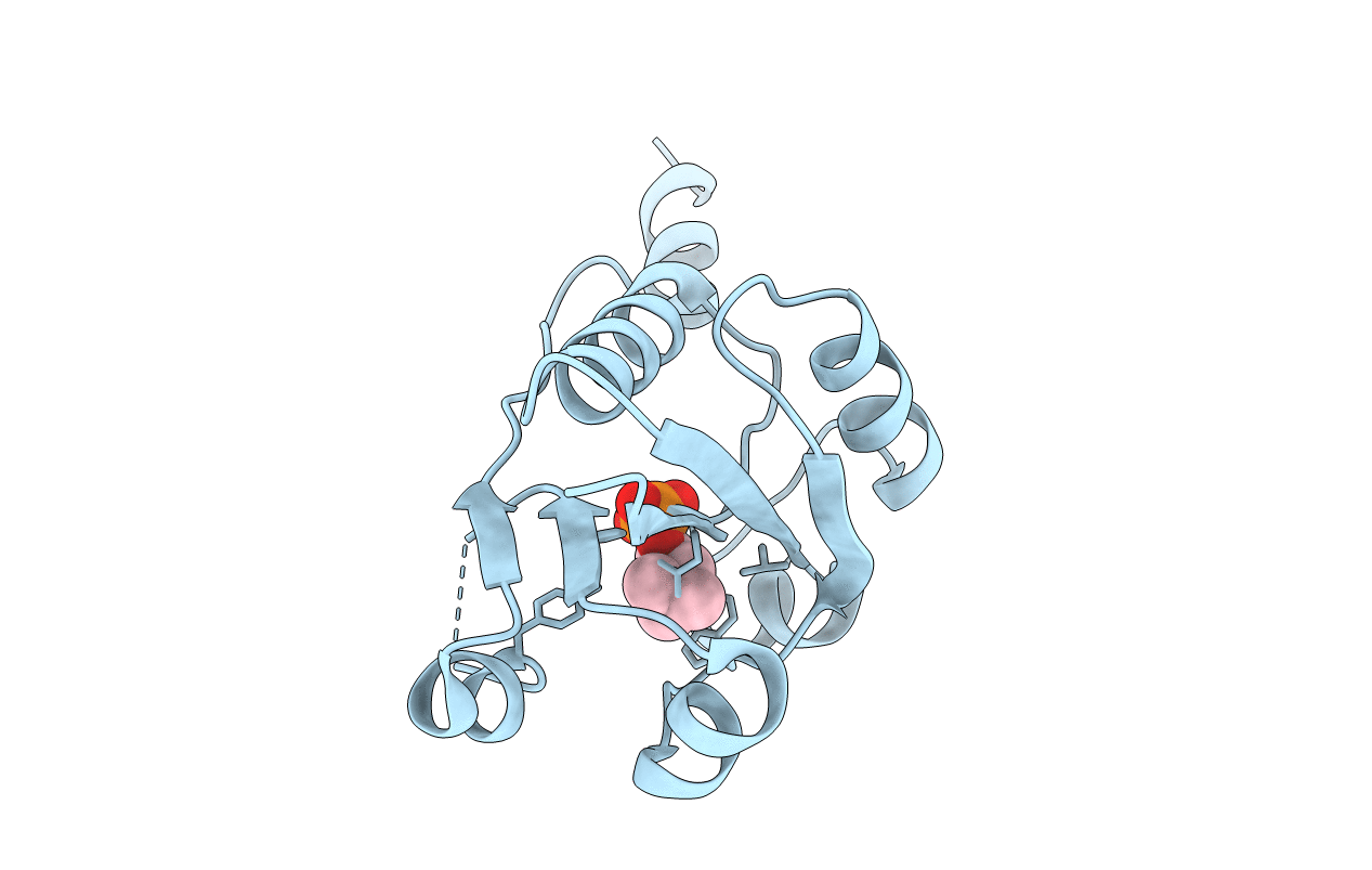 4ZCR image