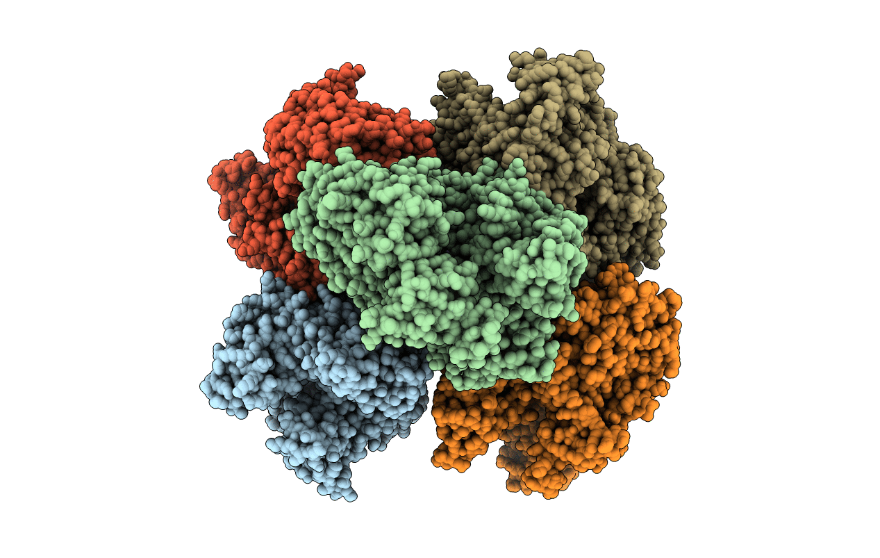 4ZDA image