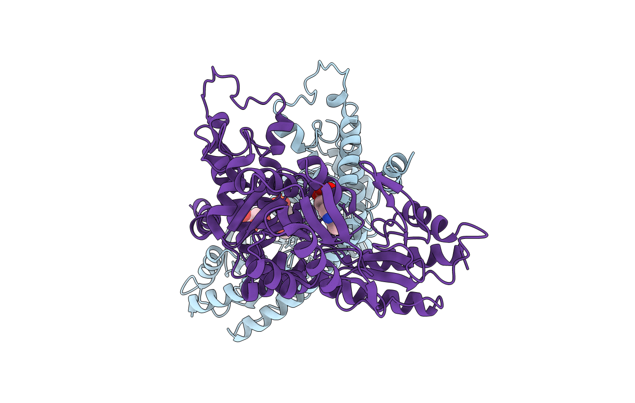 4ZDL image