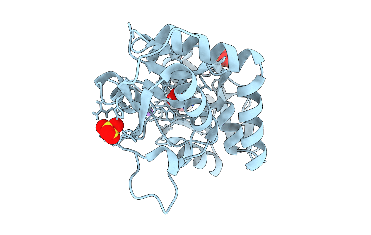 4ZDM image