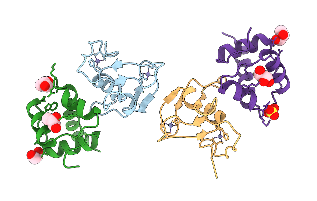 4ZDT image