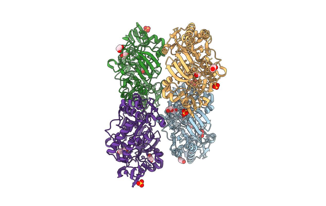 4ZE8 image