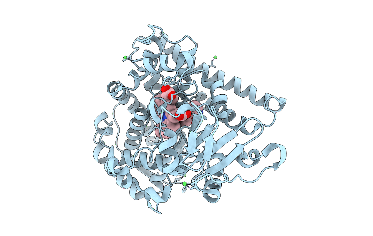 4ZF8 image