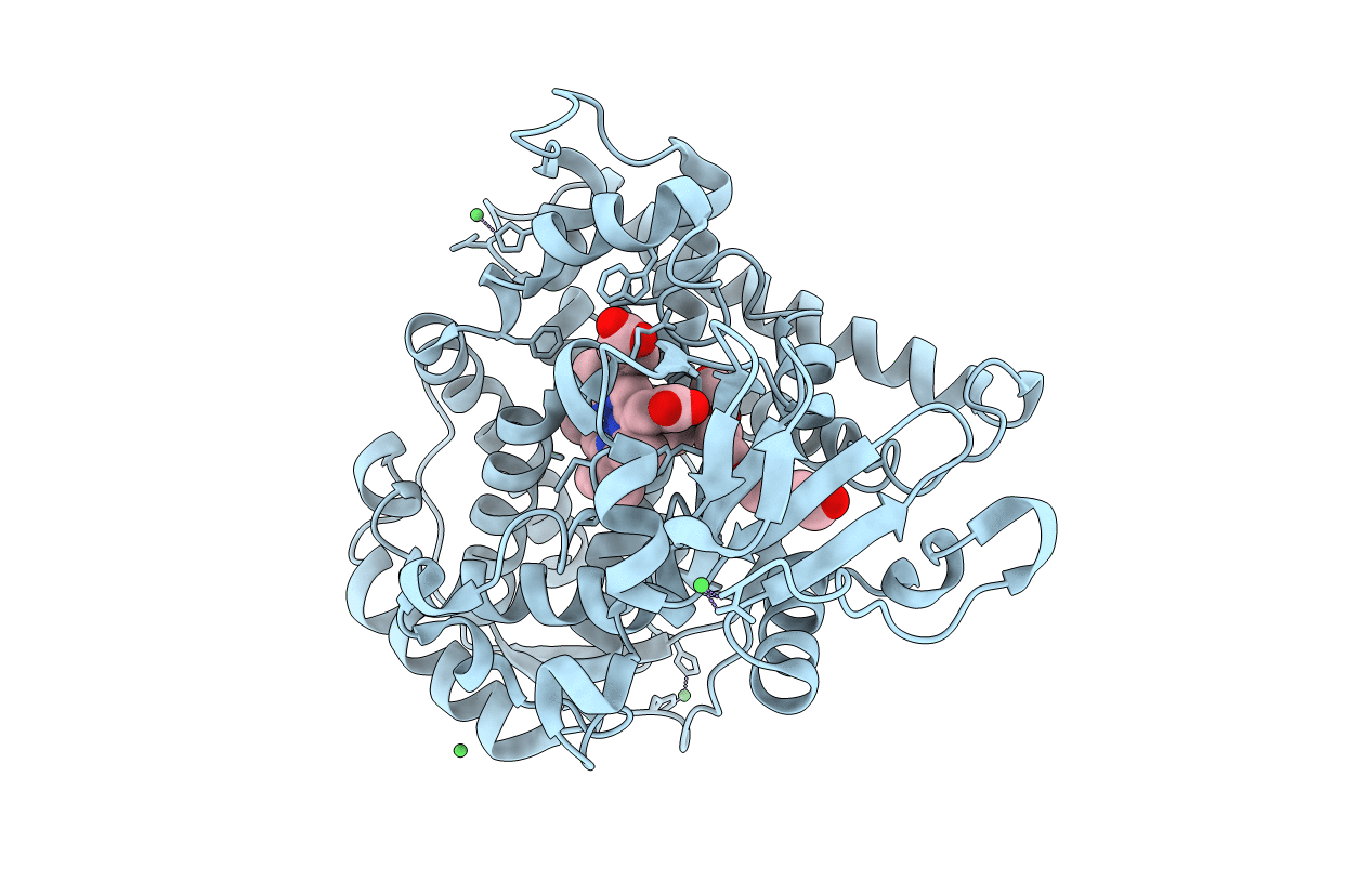 4ZFA image