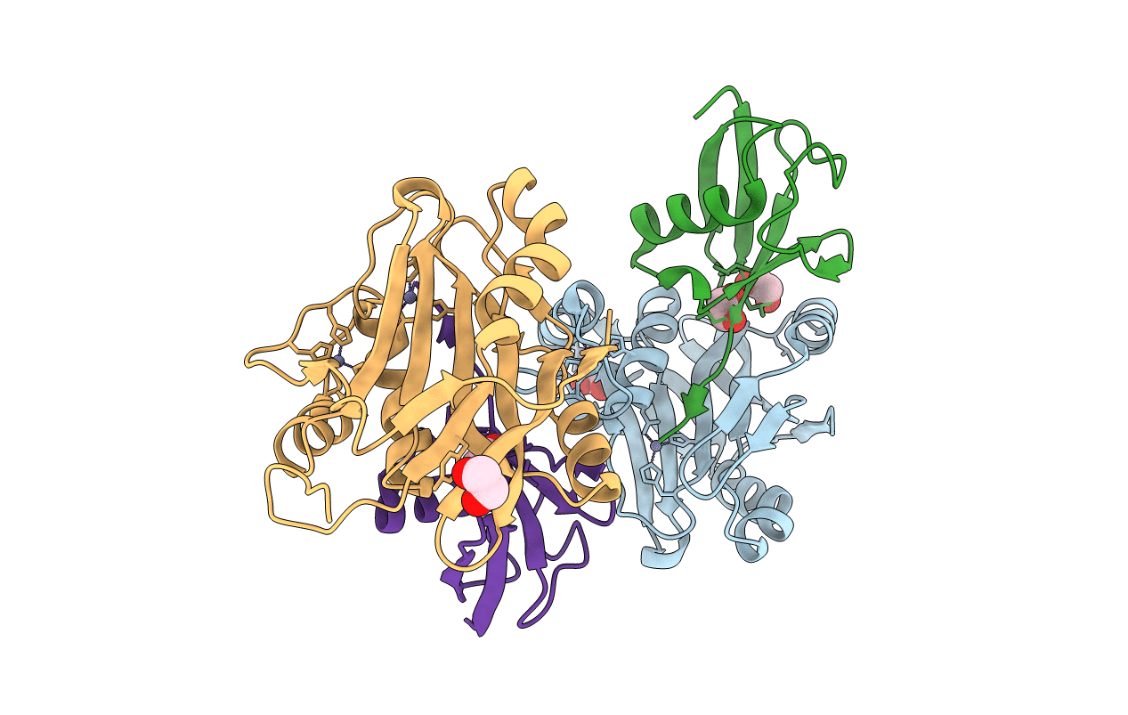 4ZFT image