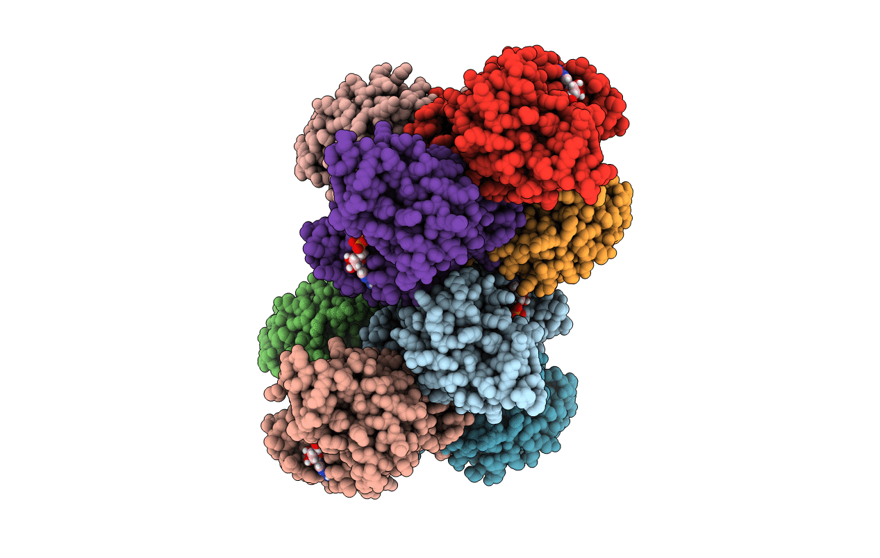 4ZGS image