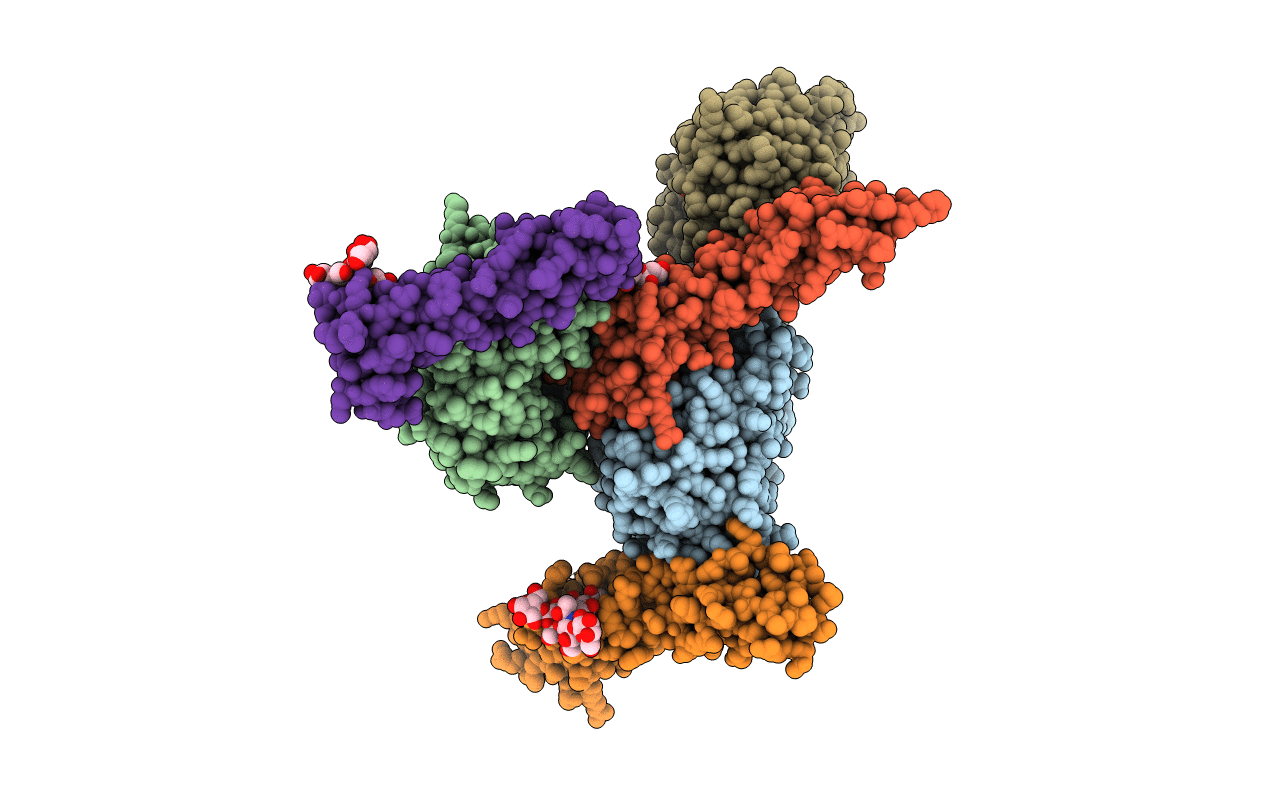 4ZH1 image