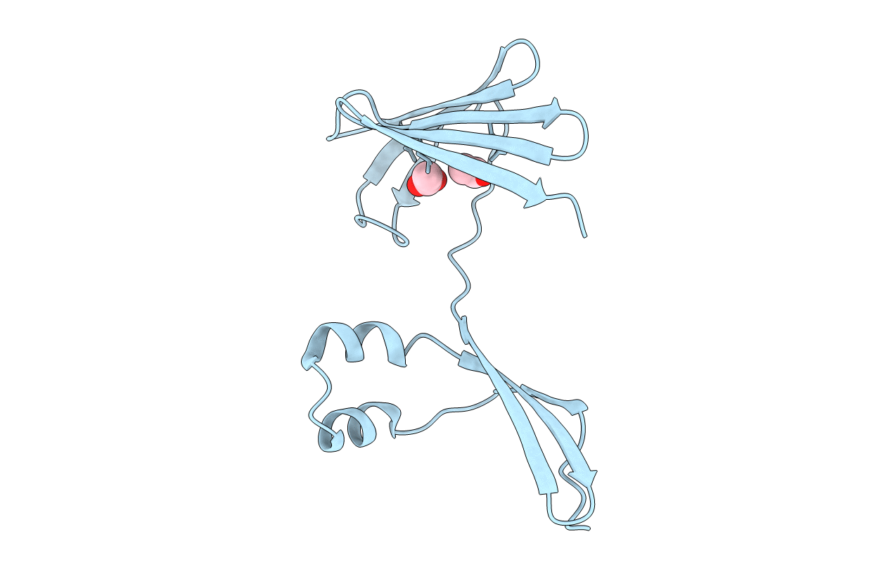 4ZH6 image
