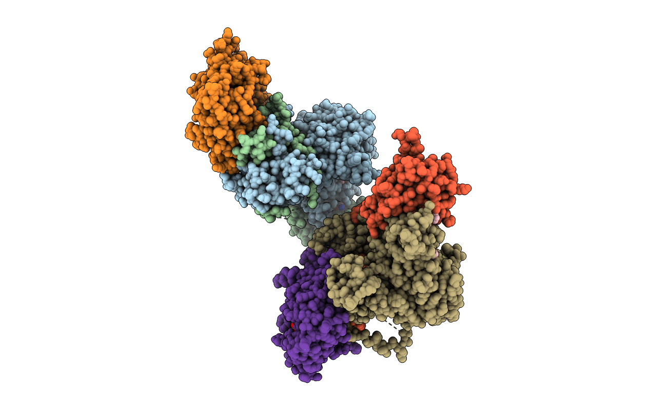 4ZHX image
