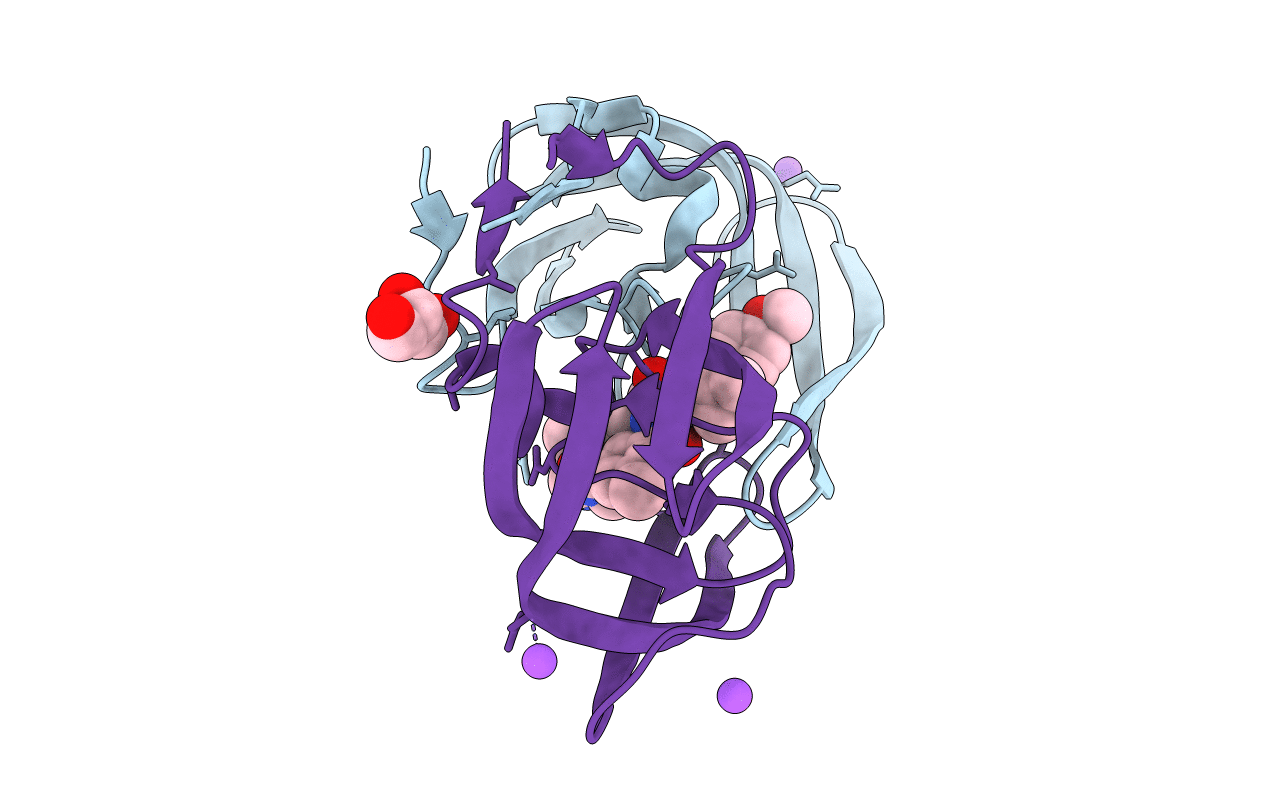 4ZIP image