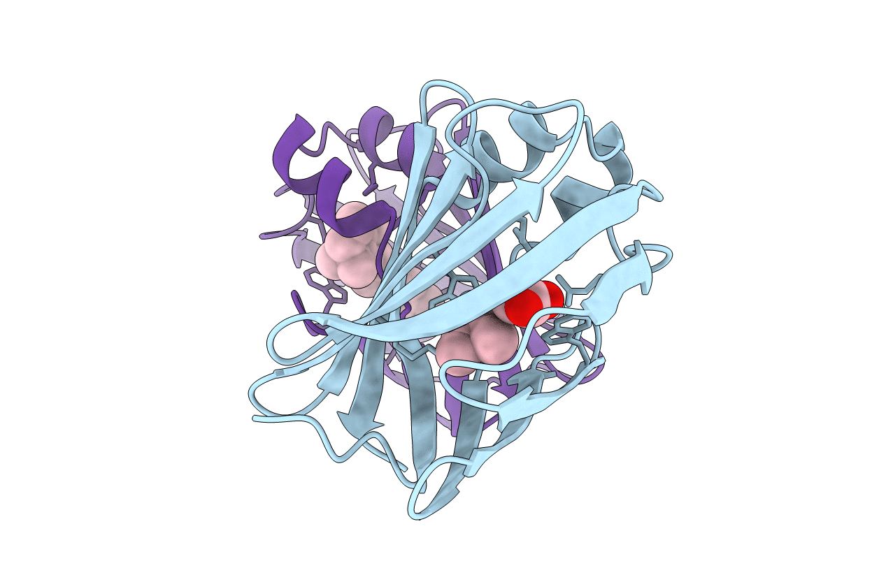 4ZJ0 image