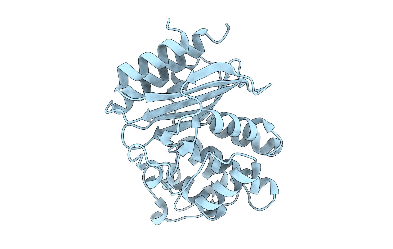 4ZJ3 image