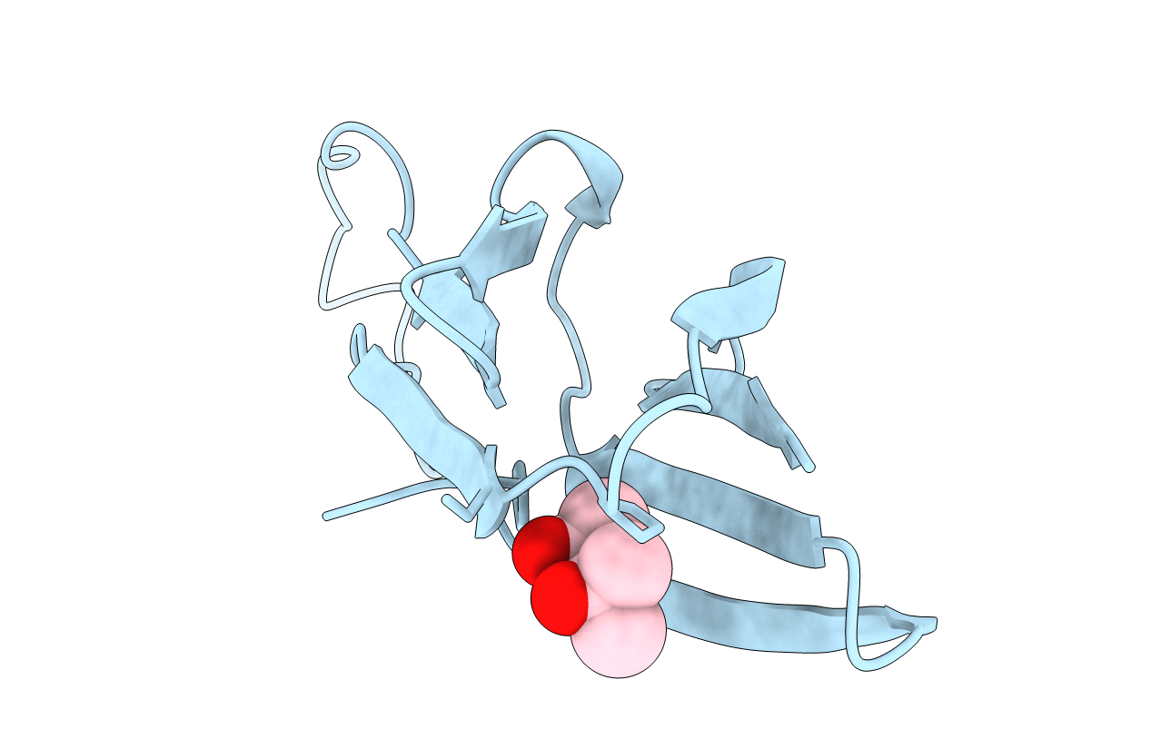 4ZJ9 image