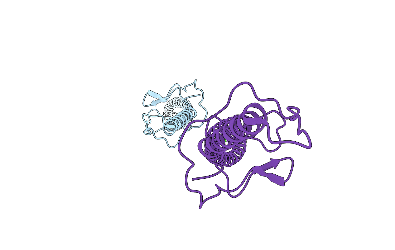 4ZKP image