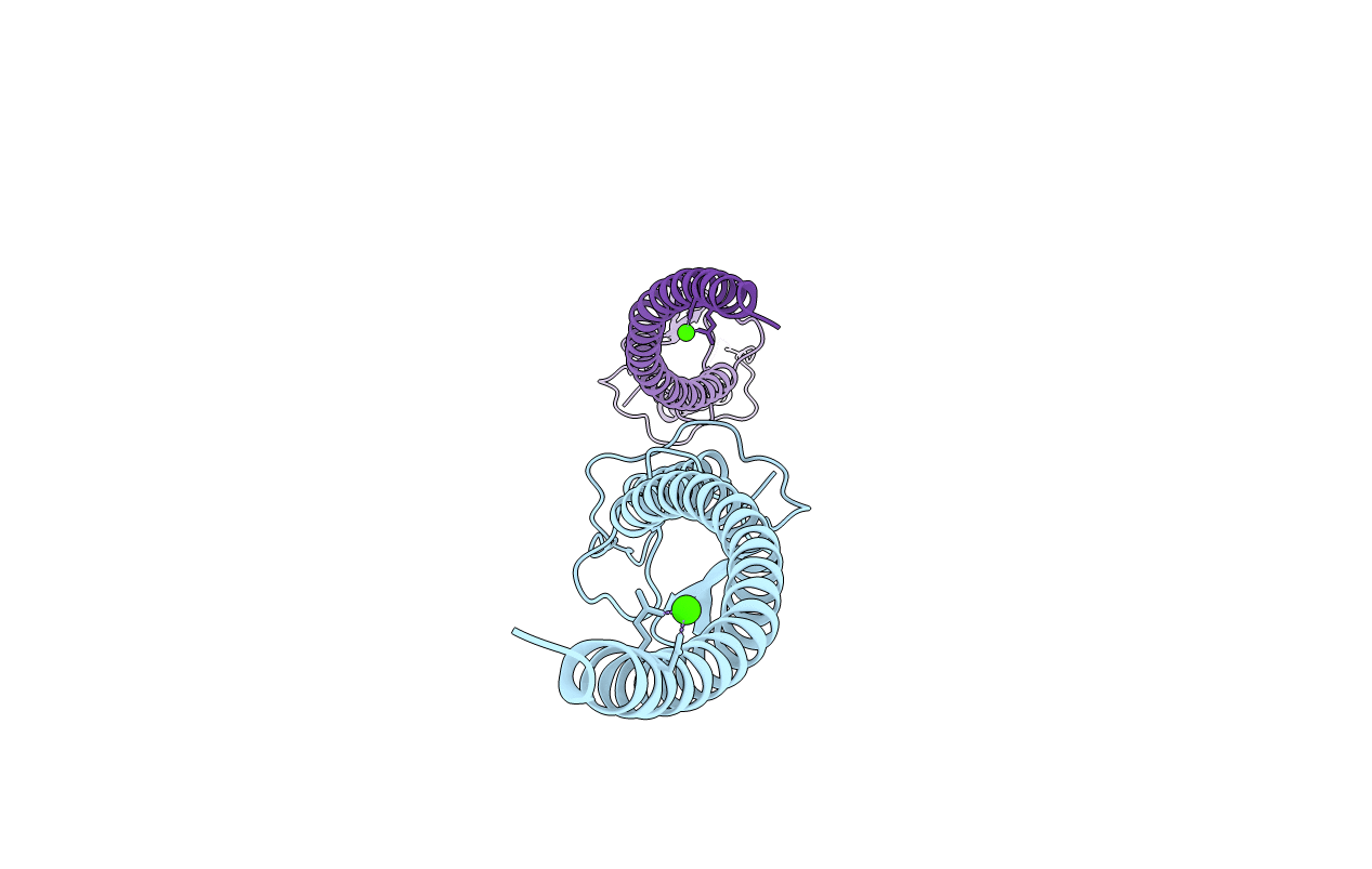 4ZKU image