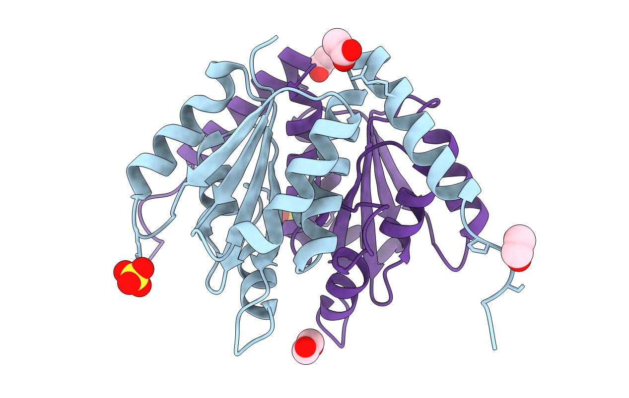 4ZMB image