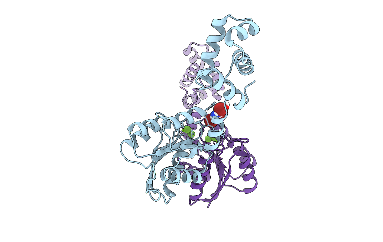 4ZMS image