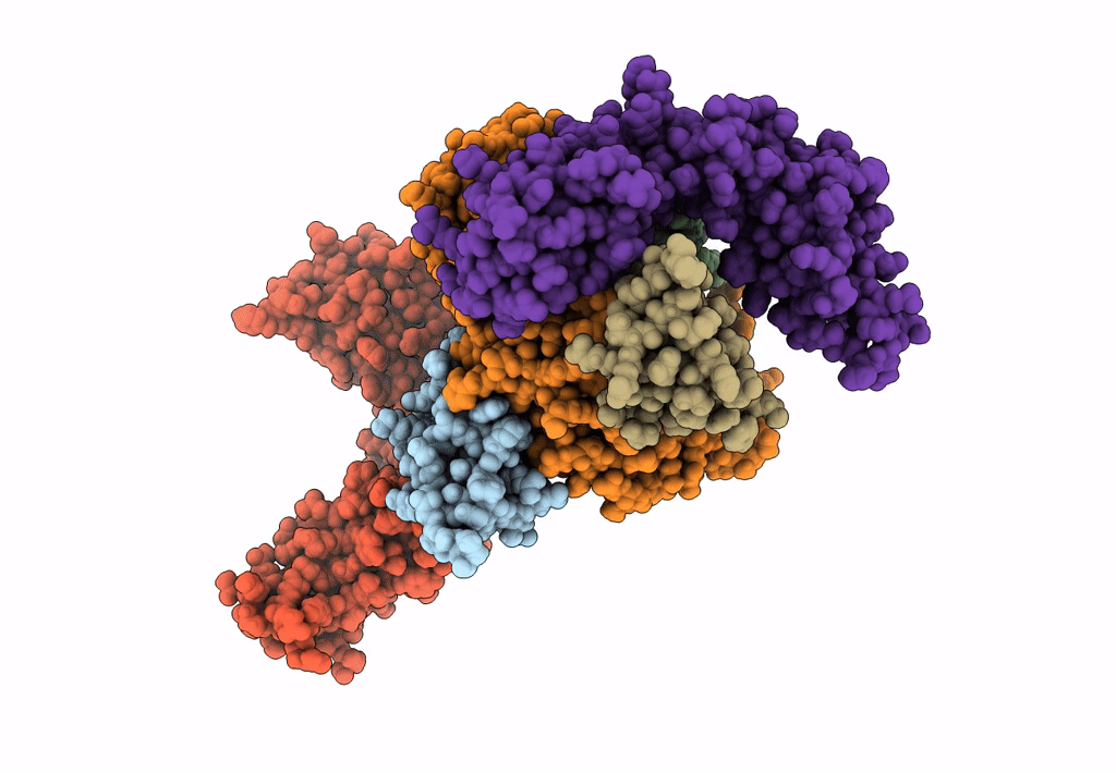4ZNC image