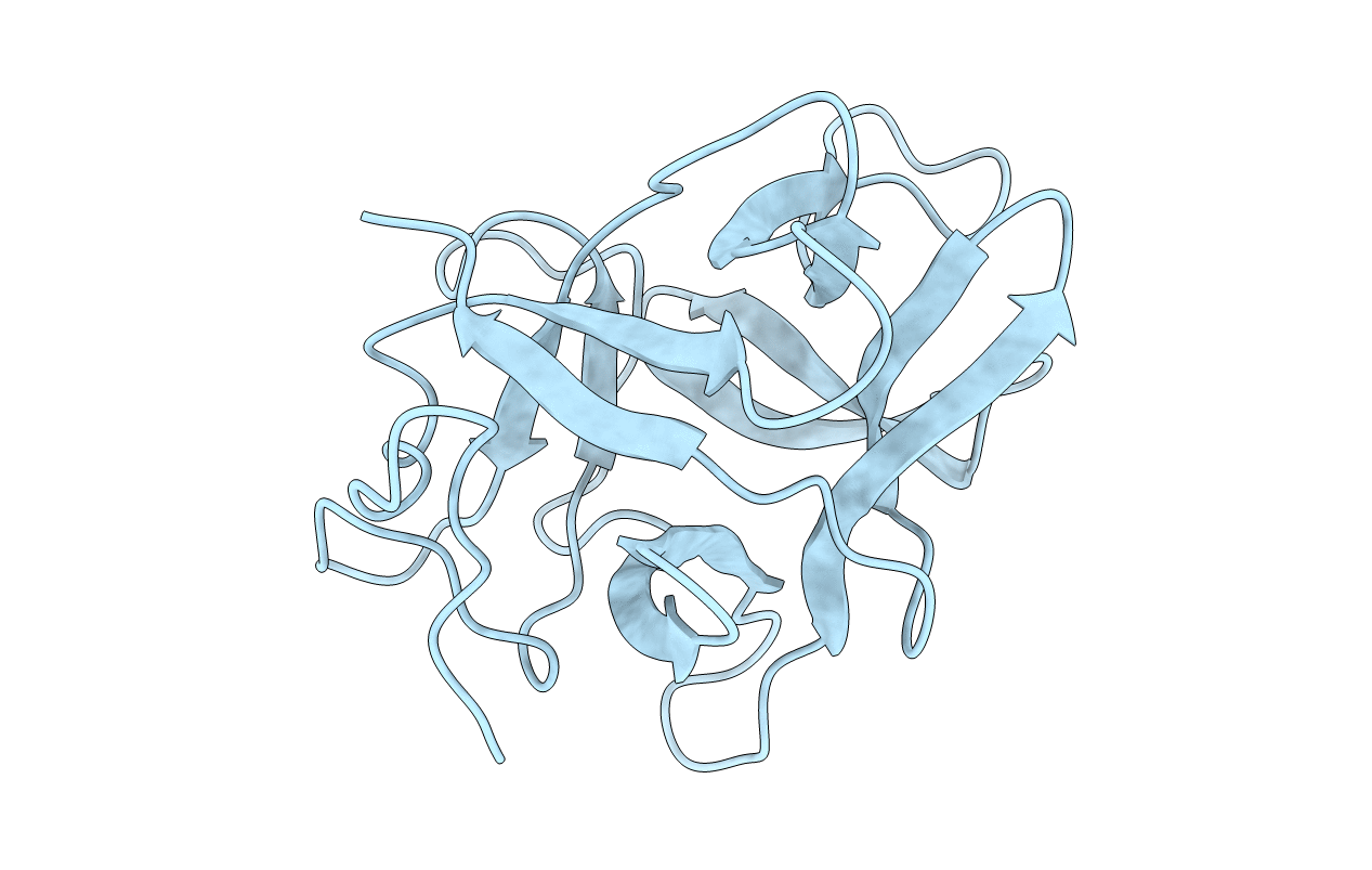 4ZOT image