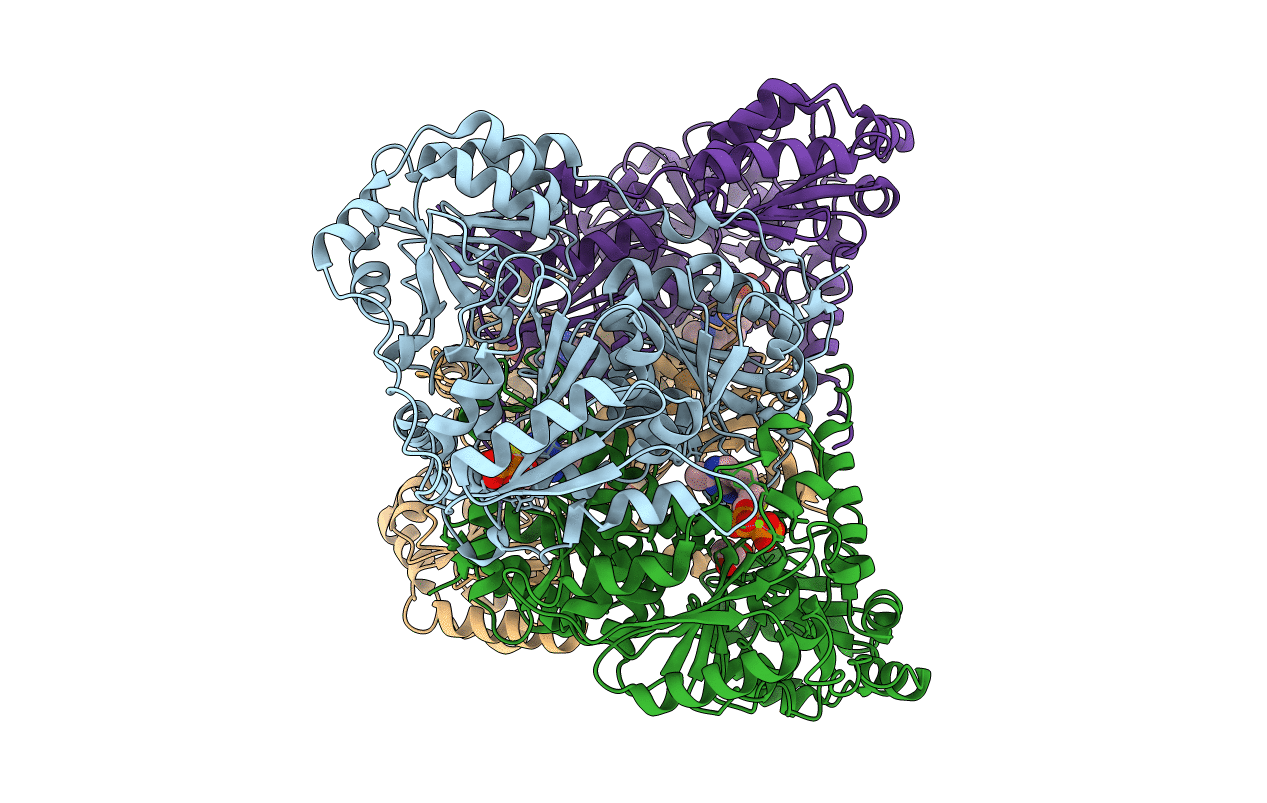 4ZP1 image