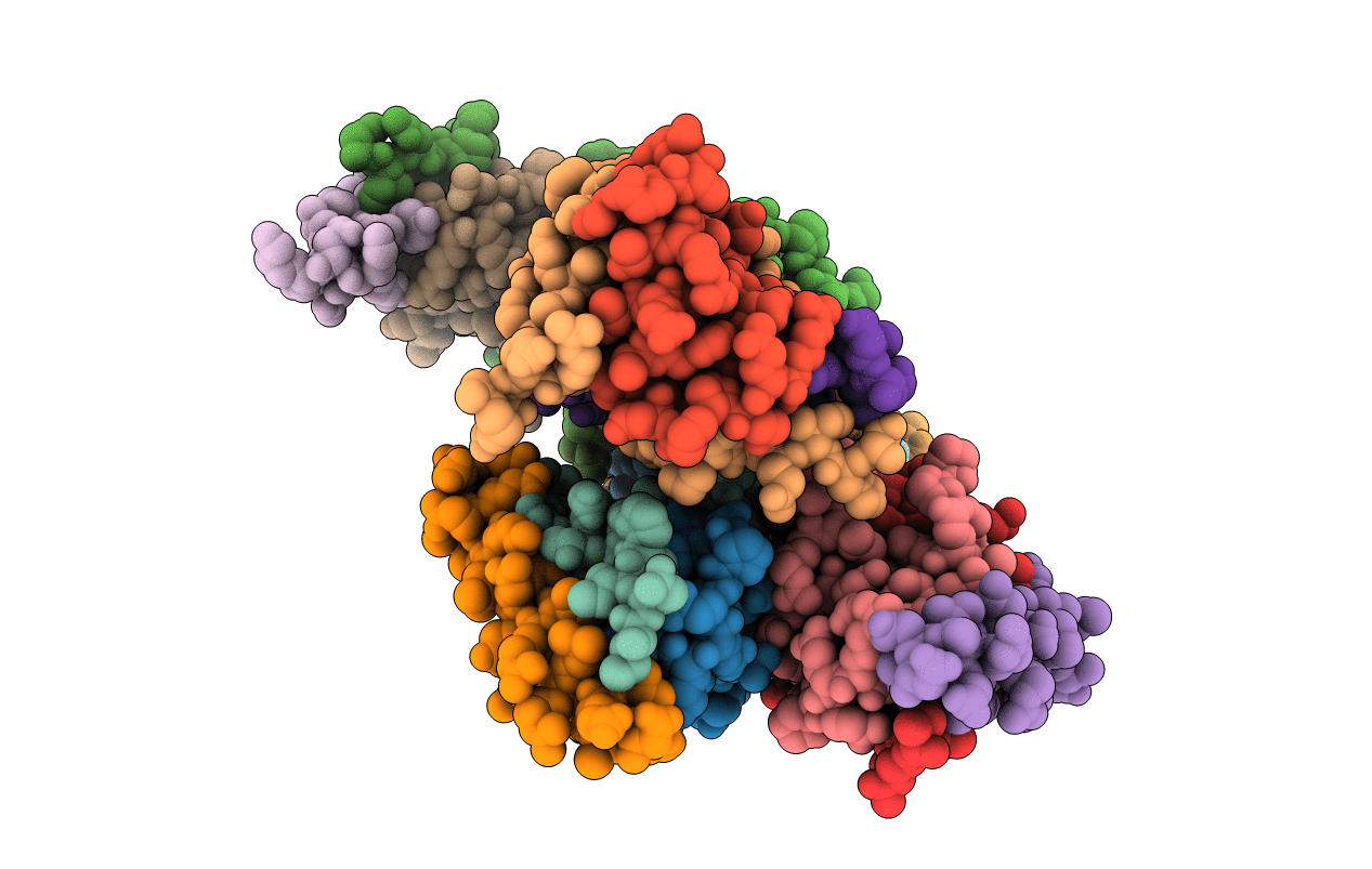 4ZP3 image