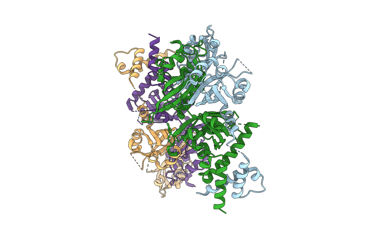 4ZP4 image