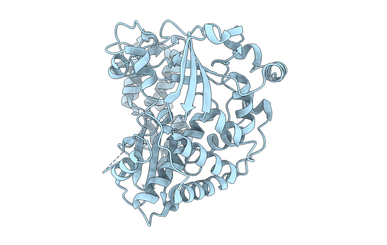 4ZP8 image
