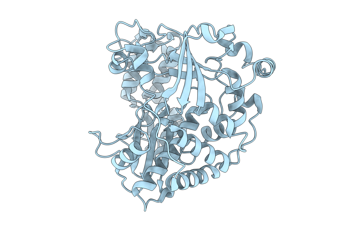 4ZP9 image