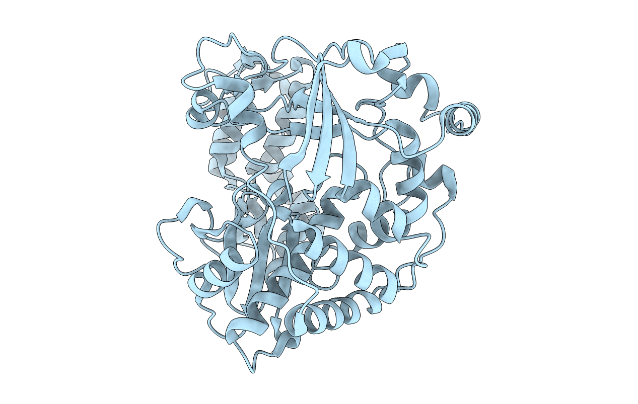 4ZPD image
