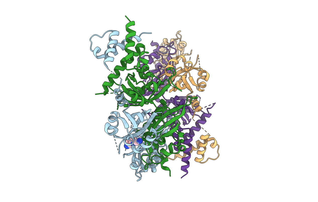 4ZPH image