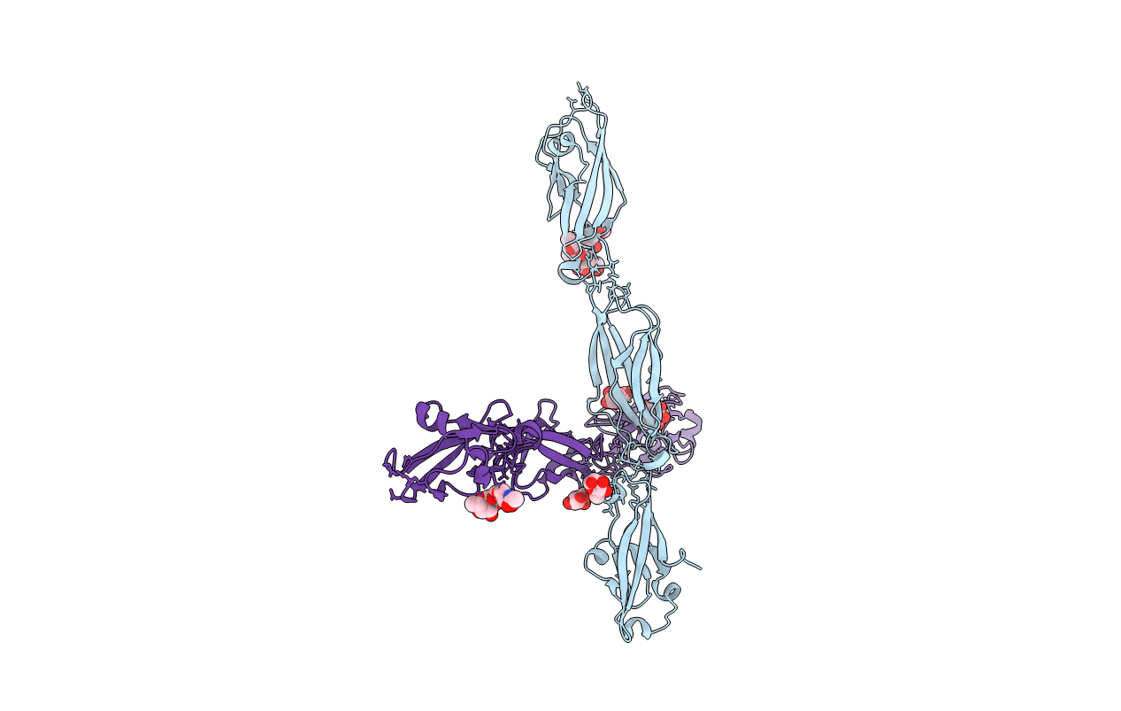 4ZPN image