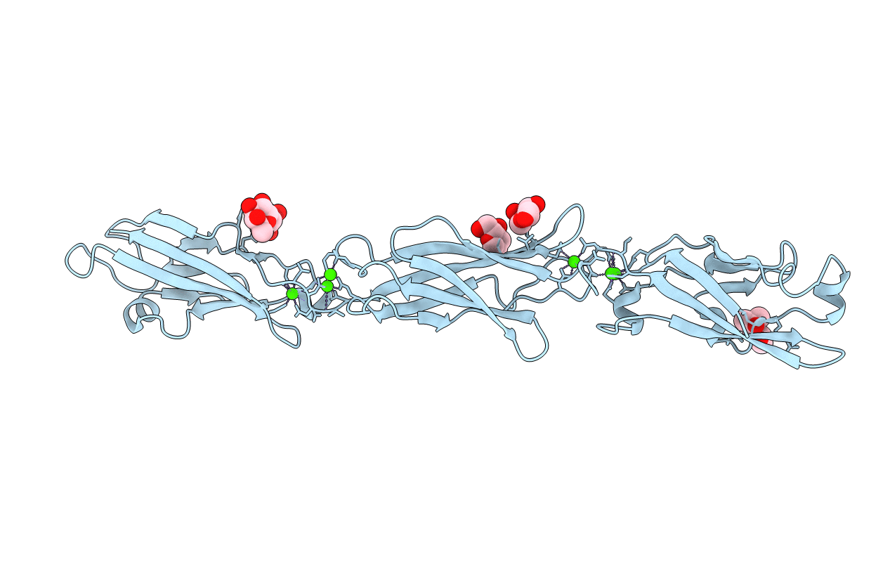 4ZPO image