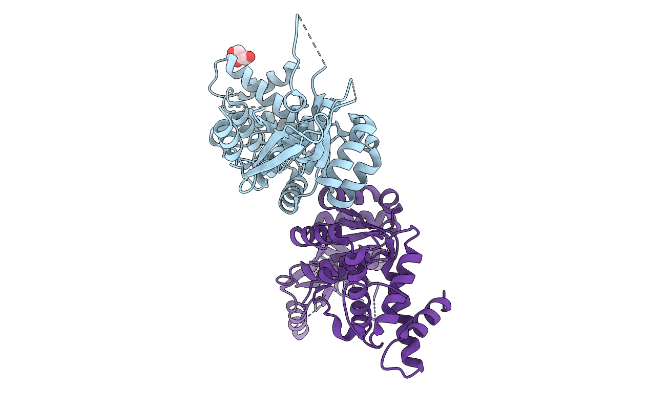 4ZPX image