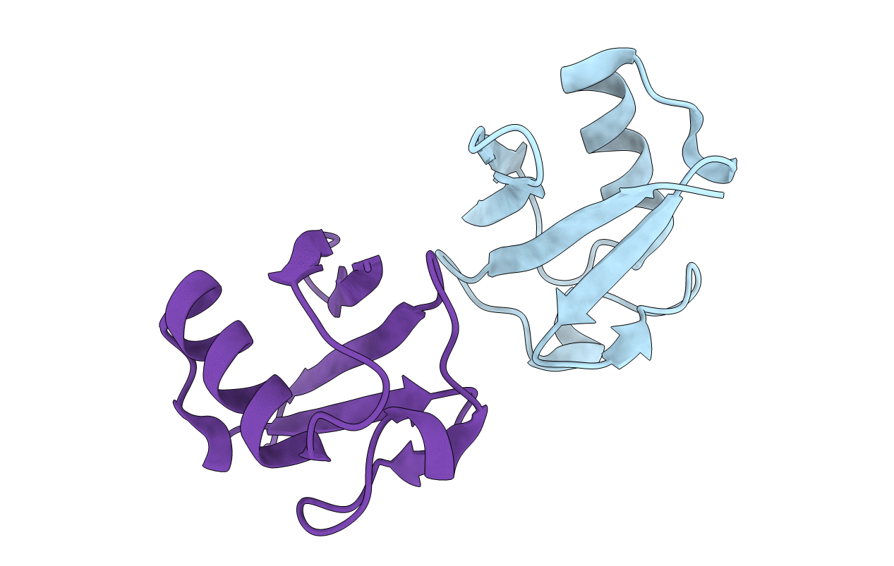 4ZPZ image