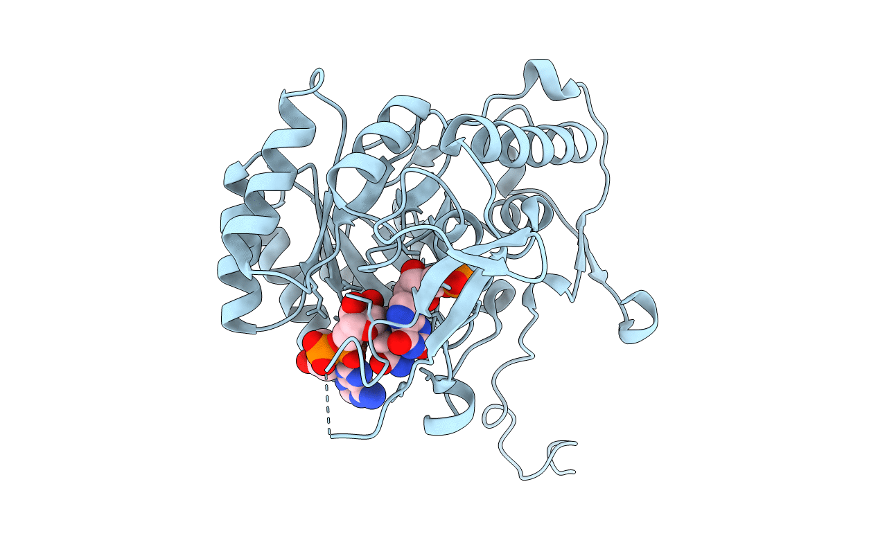4ZQM image